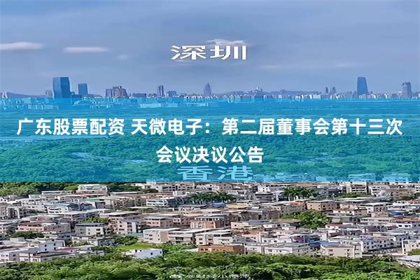 广东股票配资 天微电子：第二届董事会第十三次会议决议公告