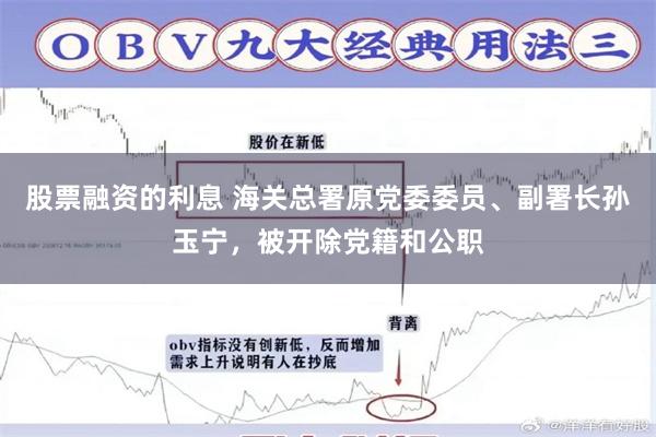 股票融资的利息 海关总署原党委委员、副署长孙玉宁，被开除党籍和公职