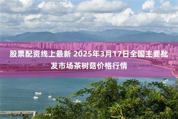 股票配资线上最新 2025年3月17日全国主要批发市场茶树菇价格行情