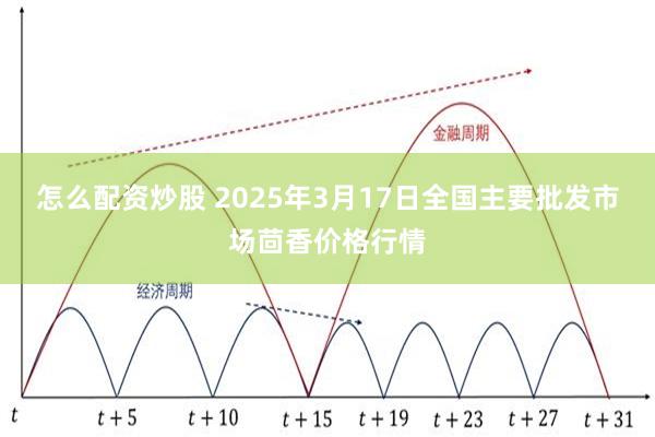 怎么配资炒股 2025年3月17日全国主要批发市场茴香价格行情