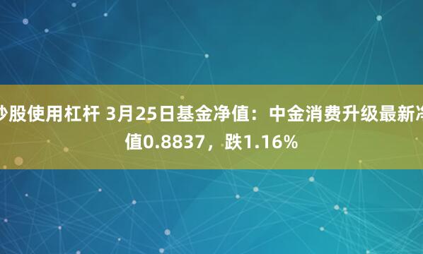 炒股使用杠杆 3月25日基金净值：中金消费升级最新净值0.8837，跌1.16%