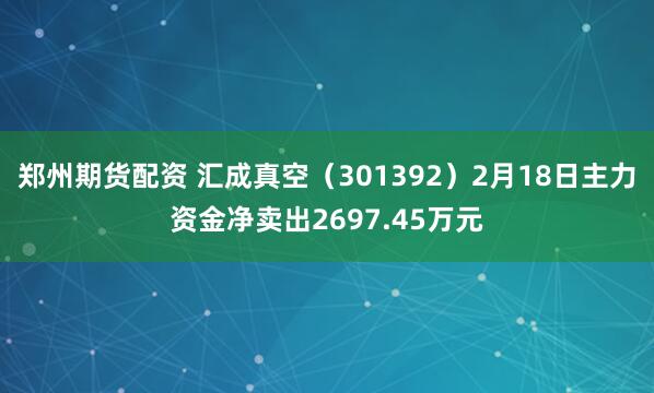郑州期货配资 汇成真空（301392）2月18日主力资金净卖出2697.45万元