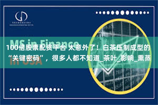 100倍股票配资平台 太意外了！白茶压制成型的 “关键密码”，很多人都不知道_茶叶_影响_熏蒸