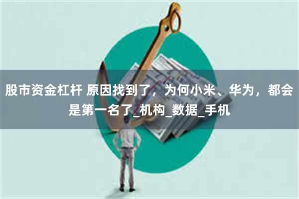 股市资金杠杆 原因找到了，为何小米、华为，都会是第一名了_机构_数据_手机