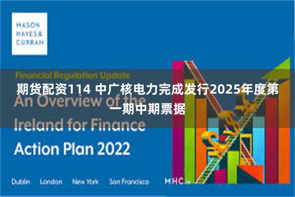 期货配资114 中广核电力完成发行2025年度第一期中期票据