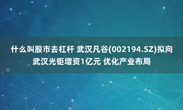 什么叫股市去杠杆 武汉凡谷(002194.SZ)拟向武汉光钜增资1亿元 优化产业布局