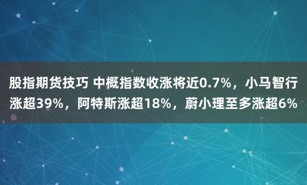 股指期货技巧 中概指数收涨将近0.7%，小马智行涨超39%，阿特斯涨超18%，蔚小理至多涨超6%