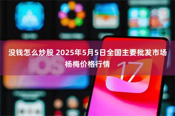 没钱怎么炒股 2025年5月5日全国主要批发市场杨梅价格行情
