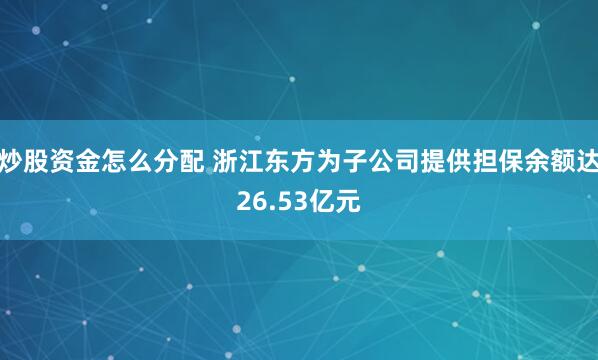 炒股资金怎么分配 浙江东方为子公司提供担保余额达26.53亿元