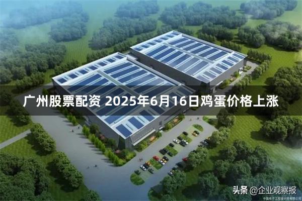 广州股票配资 2025年6月16日鸡蛋价格上涨