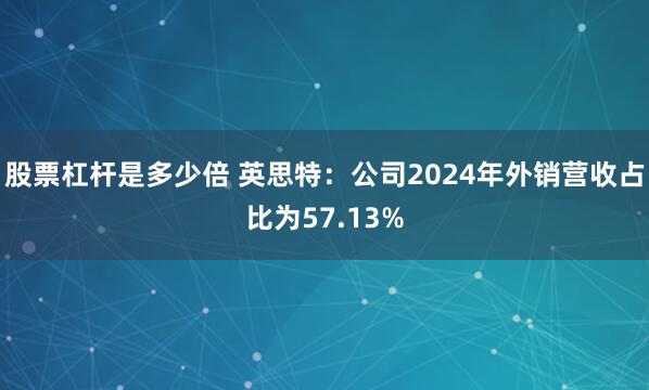 股票杠杆是多少倍 英思特：公司2024年外销营收占比为57.13%
