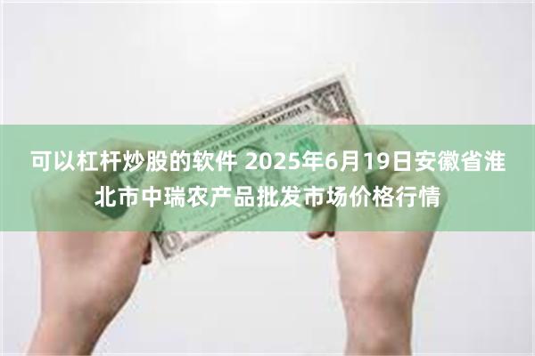 可以杠杆炒股的软件 2025年6月19日安徽省淮北市中瑞农产品批发市场价格行情