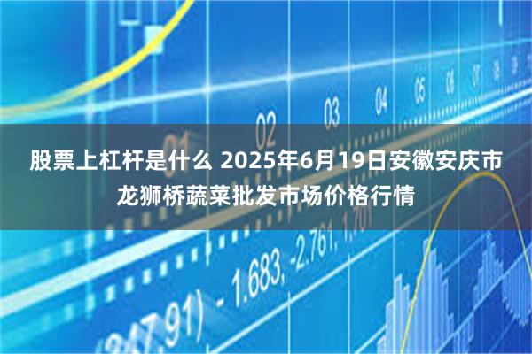 股票上杠杆是什么 2025年6月19日安徽安庆市龙狮桥蔬菜批发市场价格行情
