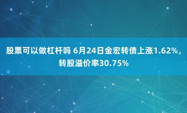 股票可以做杠杆吗 6月24日金宏转债上涨1.62%，转股溢价率30.75%