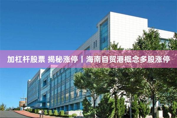 加杠杆股票 揭秘涨停丨海南自贸港概念多股涨停
