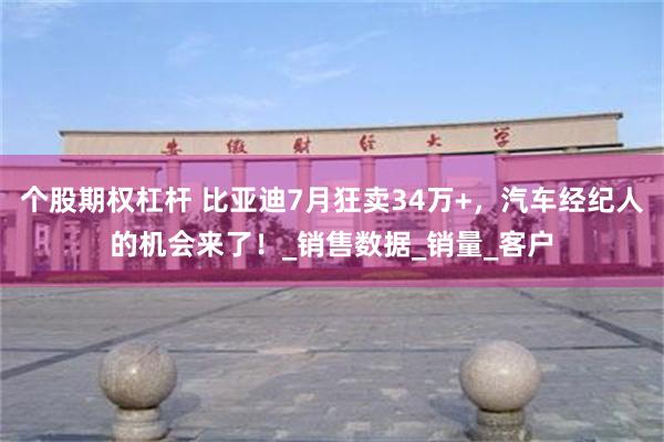 个股期权杠杆 比亚迪7月狂卖34万+，汽车经纪人的机会来了！_销售数据_销量_客户