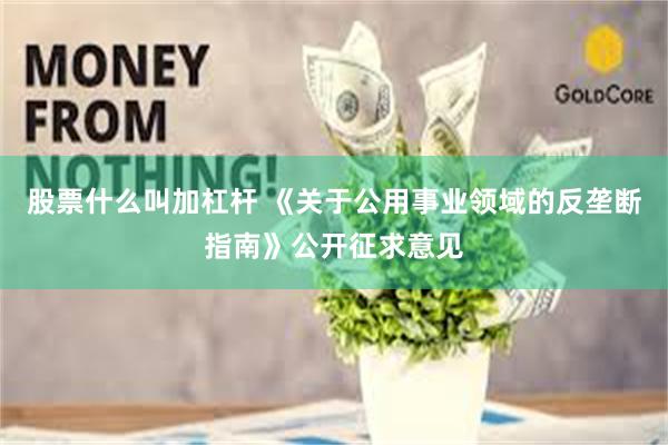 股票什么叫加杠杆 《关于公用事业领域的反垄断指南》公开征求意见