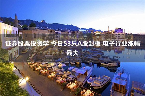 证券股票投资学 今日53只A股封板 电子行业涨幅最大