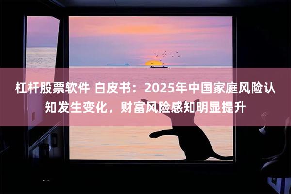 杠杆股票软件 白皮书：2025年中国家庭风险认知发生变化，财富风险感知明显提升